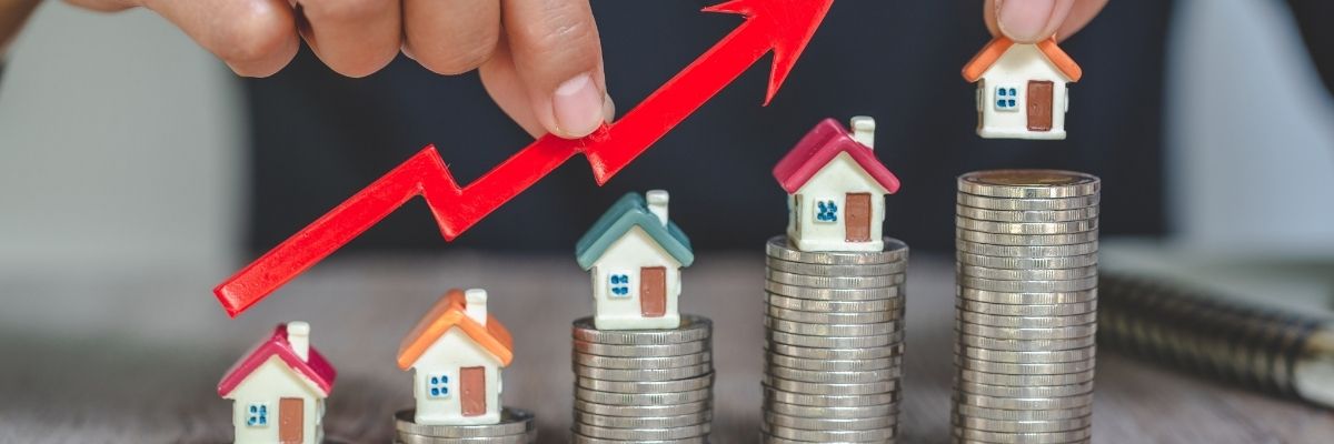 Erkek Yatırım ve Finans